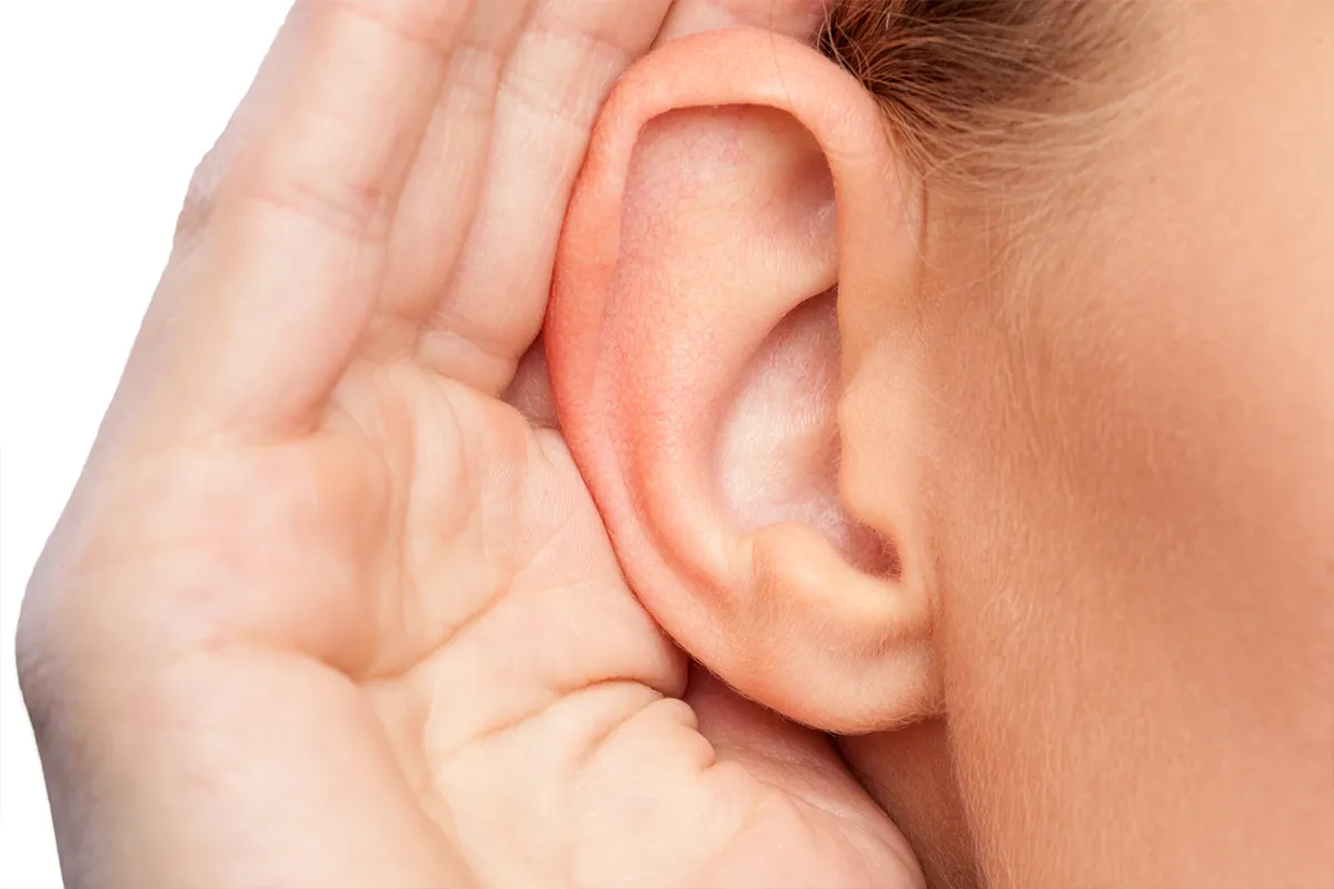 1-oct-2025-national-audiology-awareness-month-the-role-of-audiologists-in-your-hearing-journey-cover.webp