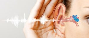 3 Types of Hearing Loss and what causes them?