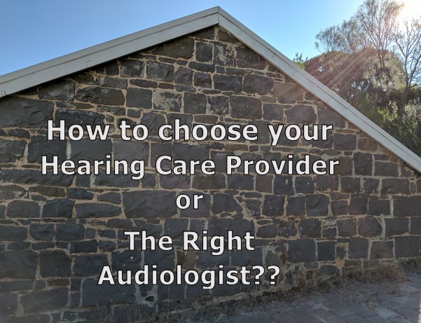 How to choose your hearing care provider or The Right Audiologist?